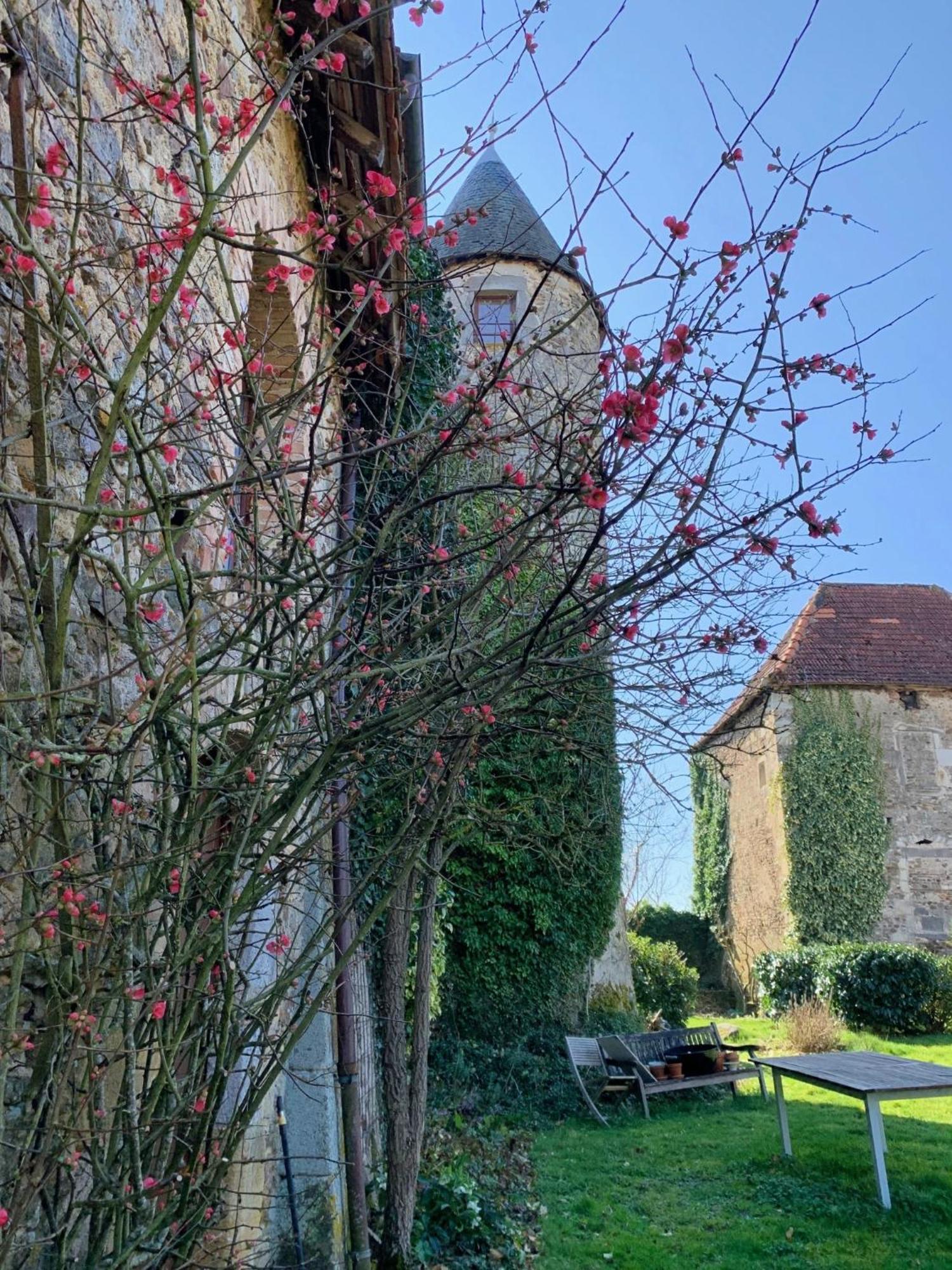 Chateau Mareuil Brigueil-le-Chantre Bagian luar foto